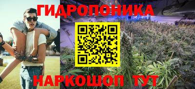 мет Боровичи